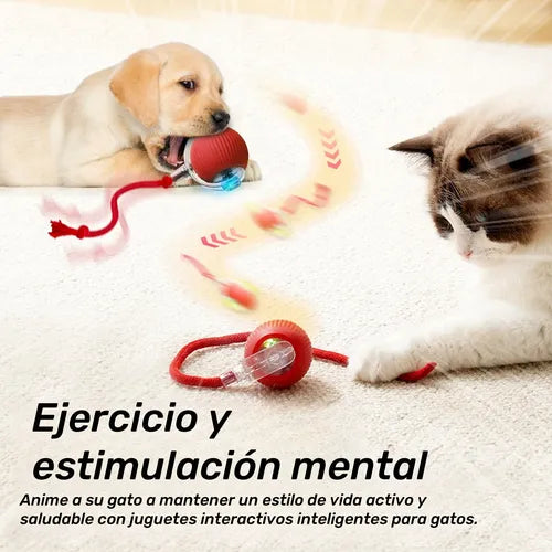 🥎 Pelota para Gatos con Movimiento Inteligente